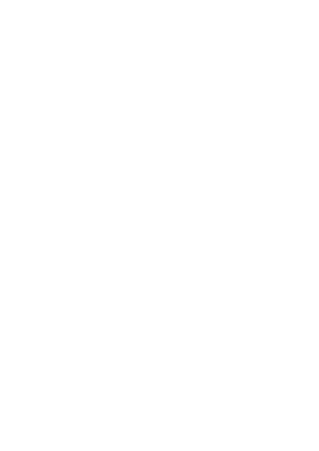Riser Logo
